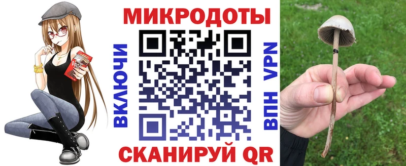 наркошоп Мурманск Псилоцибиновые грибы Psilocybine cubensis